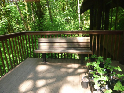 Nature Center deck with bench